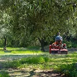 A Charming Country + Bikes And Kayaks * 博萨