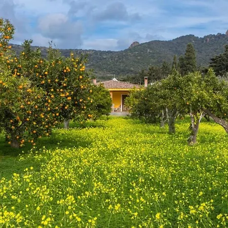 Holiday home A Charming Country + Bikes And Kayaks Bosa