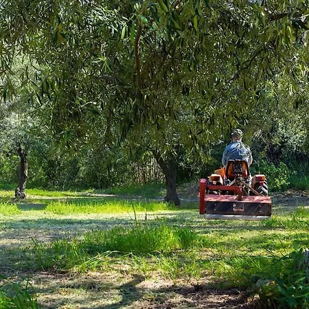 A Charming Country + Bikes And Kayaks * 博萨