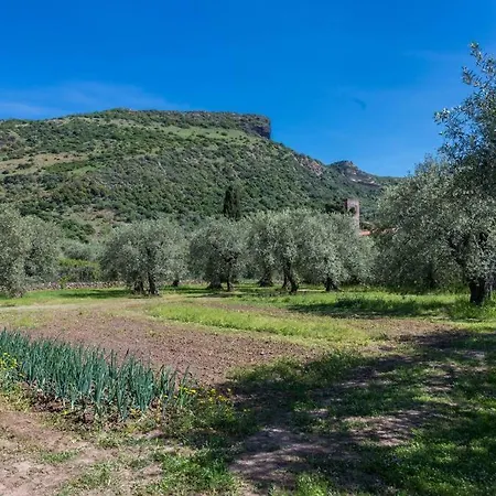 A Charming Country + Bikes And Kayaks Bosa