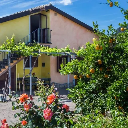 A Charming Country + Bikes And Kayaks * Bosa