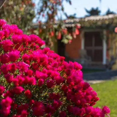 A Charming Country + Bikes And Kayaks Holiday home