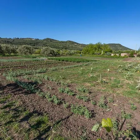A Charming Country + Bikes And Kayaks Casa vacanze Bosa